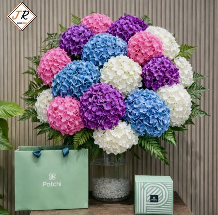 قرطاسية سيلكون